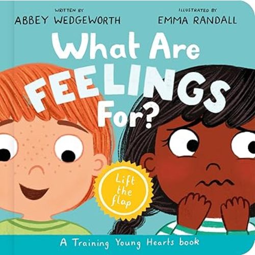 What Are Feelings For? Board Book: A Lift-the-Flap Board Book (Christian behavior book for toddlers encouraging emotional health and resilience.) Board book – Lift the flap, June 1, 2025
