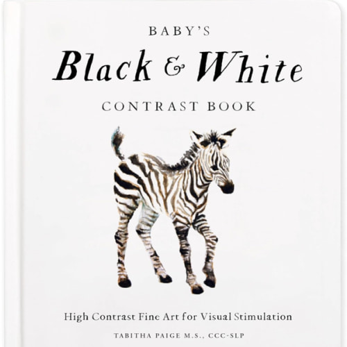 Baby's Black and White Contrast Book: High-Contrast Art for Visual Stimulation at Tummy Time (Our Little Adventures Series)