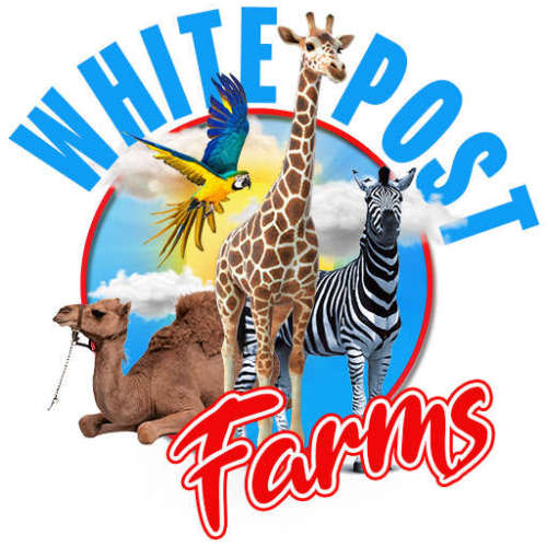 Gift Certificates – White Post Animal Farm of Melville