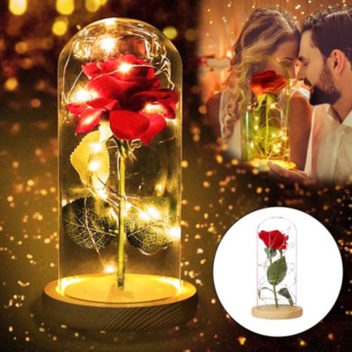 Beauty and The Beast Rose Decor LED Light Battery Powered /USB Powered with Remote Control, Light with Fallen Petals in Glass Dome Gift for Mothers' Day Valentine's Day Anniversary Birthday