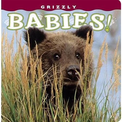 Grizzly Babies! (Babies! (Farcountry Press))