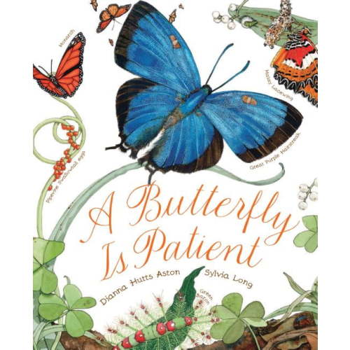 Sylvia Long A Butterfly Is Patient: (Nature Books for Kids, Children's Books Ages 3-5, Award Winning Children's Books), (Paperback)