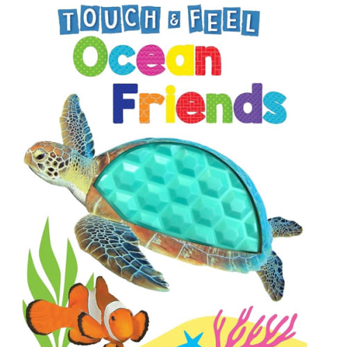 Ocean Friends - Touch and Feel Board Book - Sensory Board Book