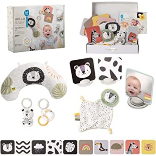 Taf Toys Newborn Developmental Gift Set with 12 Toys Tummy Time Pillow Flash Cards Rattles Baby-Safe Mirror Blankie Best for Newborns & Up Development Montessori for Infant Toys 0-6 Months Babies
