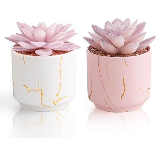 zenmag Artificial Succulent Plants, Fake Succulents Decor in 2 White/Pink Ceramic Pots, Small Plants for Office, Table, Desk, Bathroom, Bedroom, Living Room Shelves Decor, for Women