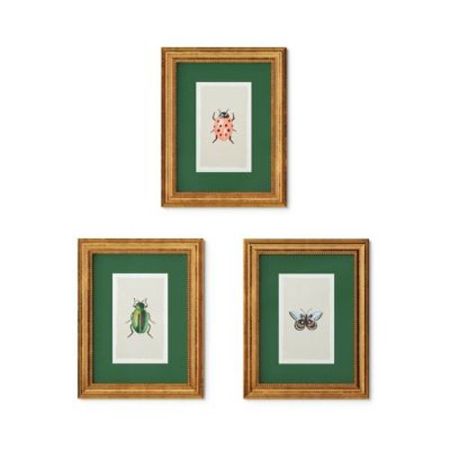 Rifle Paper Co. x Target 11"x14" Gold Foil Insect Poster Framed Wall Art Prints Set of 3: Nature Lithograph Bug Prints