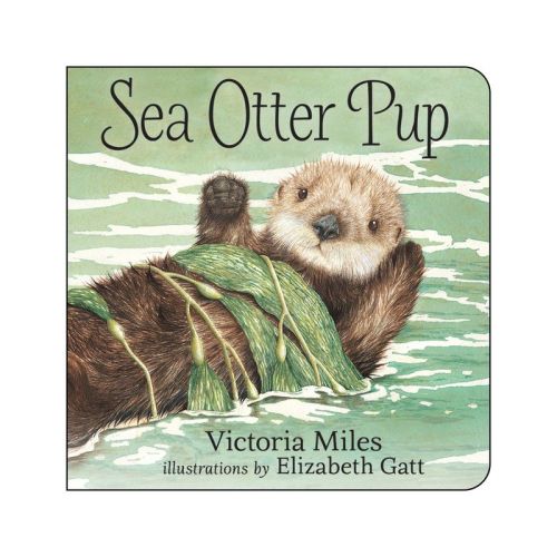 Sea Otter Pup - by Victoria Miles (Board Book)