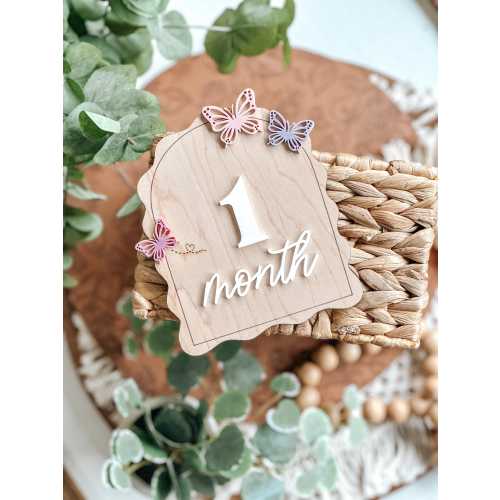 Butterfly, Milestone, Monthly Milestone, Baby Girl, Baby Shower Gift, New Mom Gift, New Baby