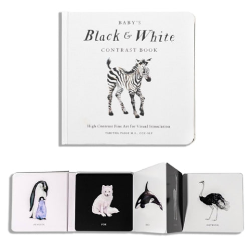 Baby's Black and White Contrast Book: High-Contrast Art for Visual Stimulation at Tummy Time (Our Little Adventures Series)