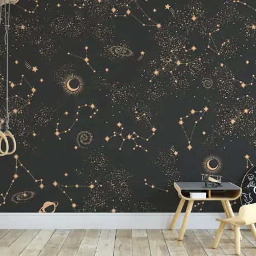 Milky Way - Charcoal and Tan Constellation Planetary Peel and Stick Wallpaper