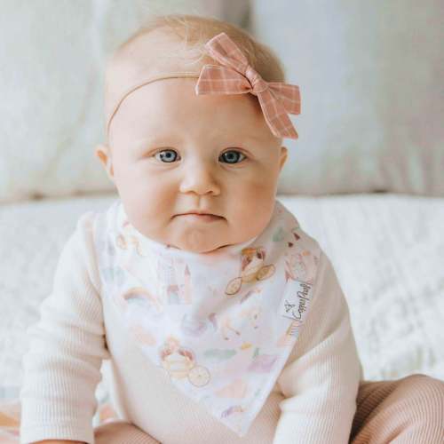 Baby Bandana Bibs - Enchanted