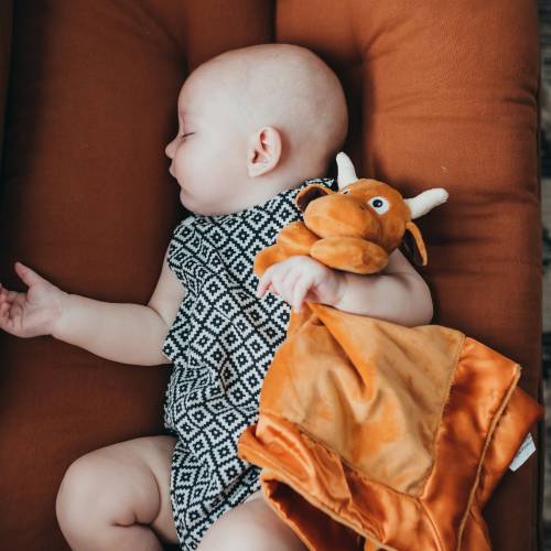 Longhorn Lovey Blanket / UT Austin Security Blanket / Baby shower Gift / Personalization available / for boy or girl /Ships from TX / Bevo