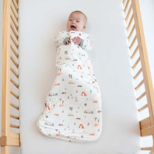 Sleep Bag in Road Trip 1.0