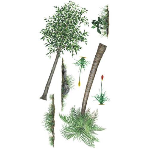 Scenery Plants and Trees Wall Decals Reduced Size Collection