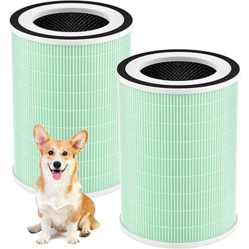 2 Pack HEPA KILO Pet Filter, Compatible with Afloia KILO, KILOPLUS, KILOPRO, MIRO,MIRO PRO and MORENTO MR-Kilo, Kalo Air Pur ifier, 360° 4-Stage Filtration, Green