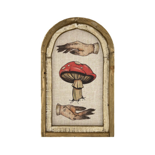Trinx Mystical Hands with Mushroom Wall Décor | Wayfair