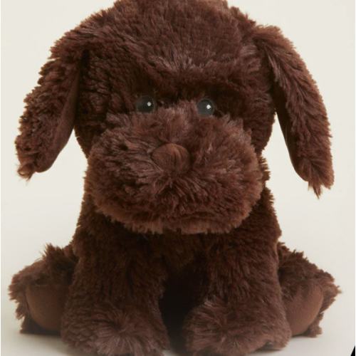 Chocolate Labrador Warmies | Stuffed Animal