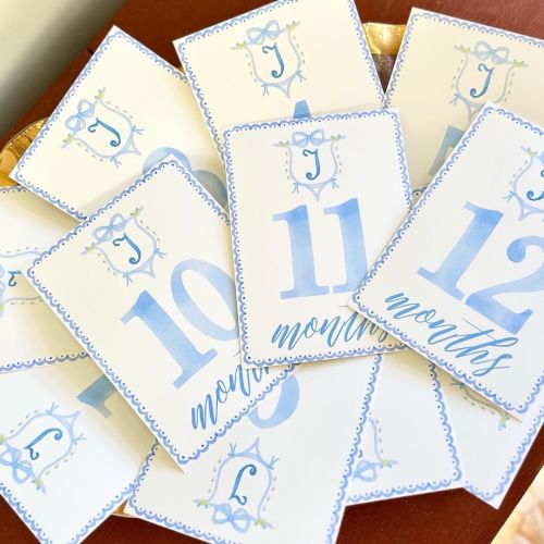 Watercolor Baby Boy Blue Monthly Milestone Cards