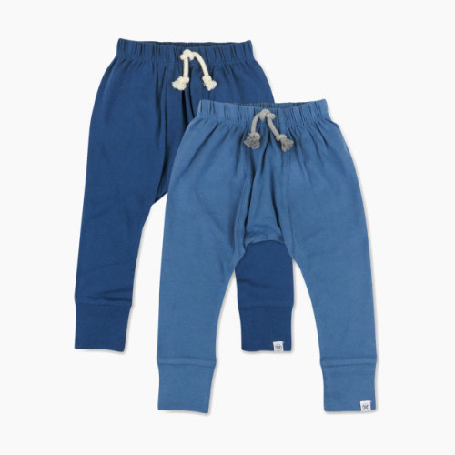 Honest Baby Clothing 2-Pack Organic Cotton Honest Pants - Ombre Blues, 0-3 M