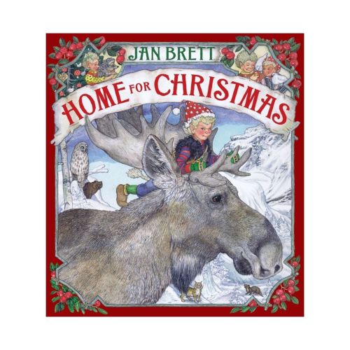 Home for Christmas - by Jan Brett (Hardcover)