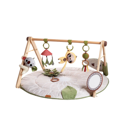 TINY LOVE Boho Chic Luxe Developmental Gymini