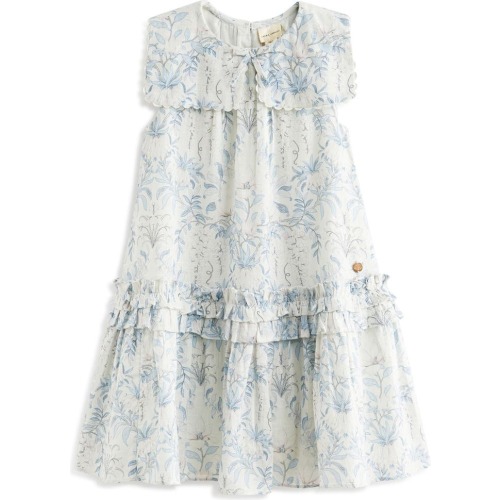 Baby & Little Girl Floral Sleeveless Scallop Collar Cotton Dress, 4Y, White/ Blue