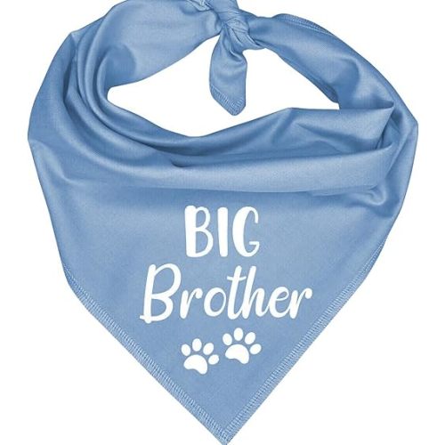 Big Brother Birthday Bandana for Dogs, Polyester, 80 * 40