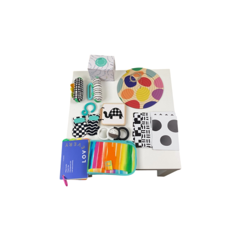 Lovevery The Looker Play Kit