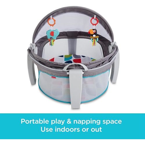 Fisher-Price Baby Portable Bassinet and Play Space On-the-Go Baby Dome with Developmental Toys and Canopy,Color Climbers (Amazon Exclusive)