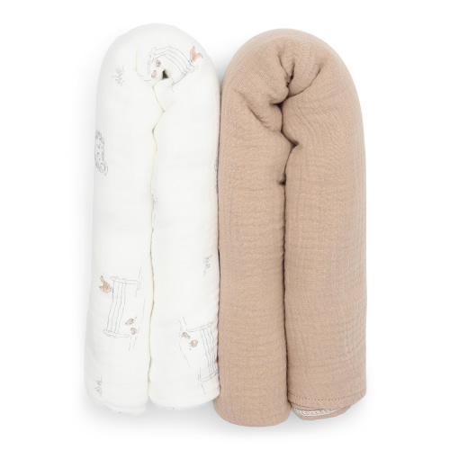 Carter's Child of Mine Infant Swaddle Blanket, 2-Pack, One Size