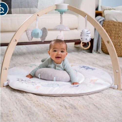 Baby Activity Gym | aden + anais