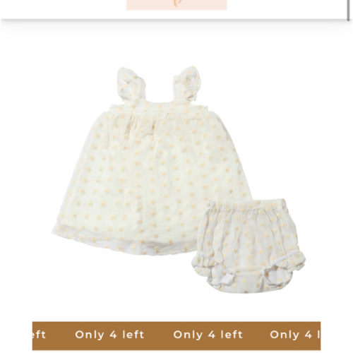 Georgie Dress in Ivory Mesh Dot
