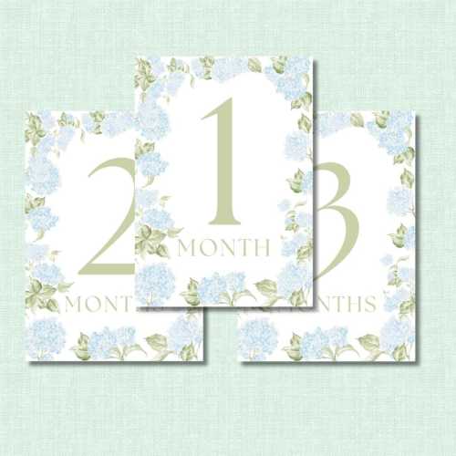 Watercolor Hydrangea Blue & Green Baby Milestone Cards