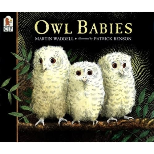 Owl Babies book by Martin Waddell