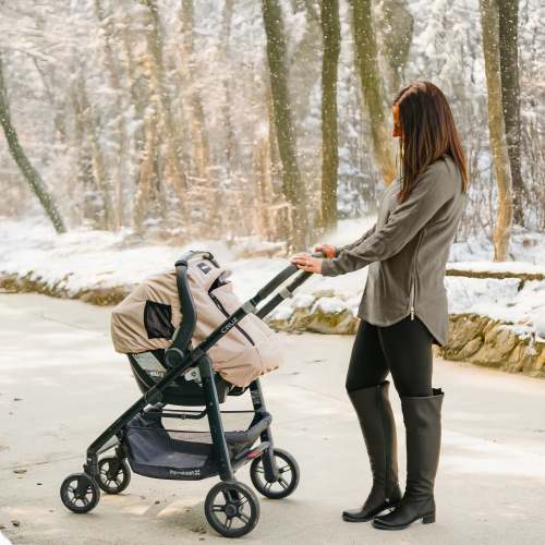 FAWN WINTER COVER