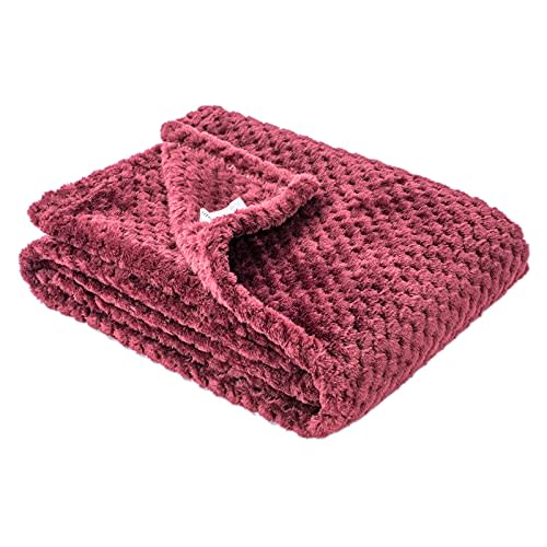 Fuzzy Blanket or Fluffy Blanket for Baby, Soft Warm Cozy Coral Fleece Toddler, Infant or Newborn Receiving Blanket for Crib, Stroller, Travel, Decorative (28Wx40L, XS-Coral Red)