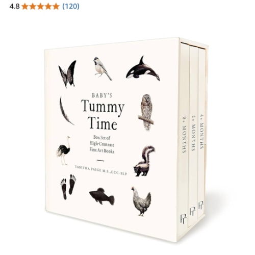 Baby's Tummy Time Book Box Set: A 3-Book Box Set of High-Contrast Art for Visual Stimulation at Tummy Time (Our Little Adventures Series)