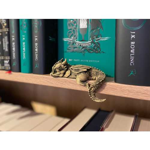 Baby Dragon Sleeping on a Shelf