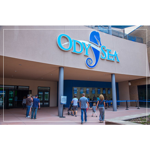 OdySea Aquarium Child Annual Pass