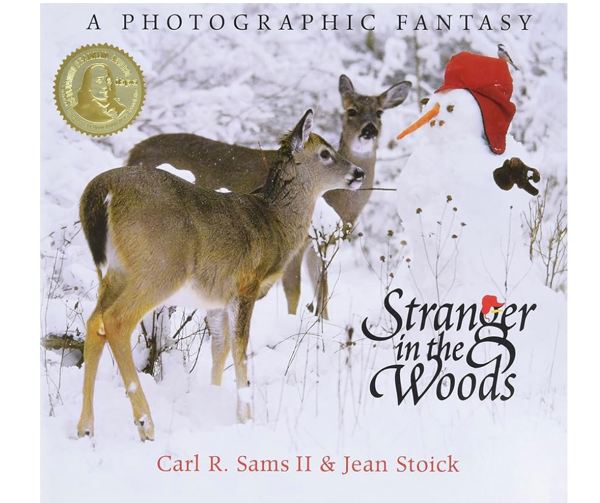 Stranger in the Woods: A Photographic Fantasy