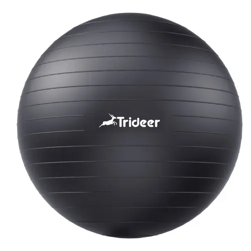 Trideer Extra Thick Yoga Ball Exercise Ball, 5 Sizes Gym Ball, Heavy Duty Ball Chair for Balance, Stability, Pregnancy, Quick Pump Included