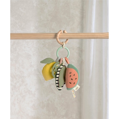 Activity Linkie Toy - Fruit