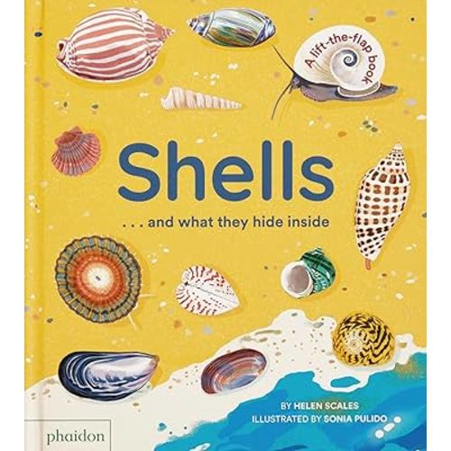 Shells... and what they hide inside: A Lift-the-Flap Adventure