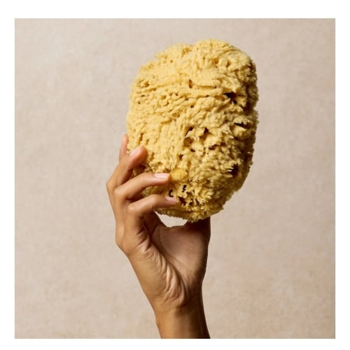 Bath Sea Sponge | Contains Natural Minerals – Toups and Co Organics