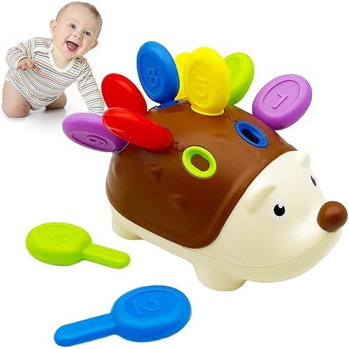 Baby Sensory Montessori Toys for Toddler Learning Educational Dinosaur Games,Fine Motor Skills Sorting Travel Toys, Birthday Gifts for 3 Year Old Boy Girl (Hedgehog-2)