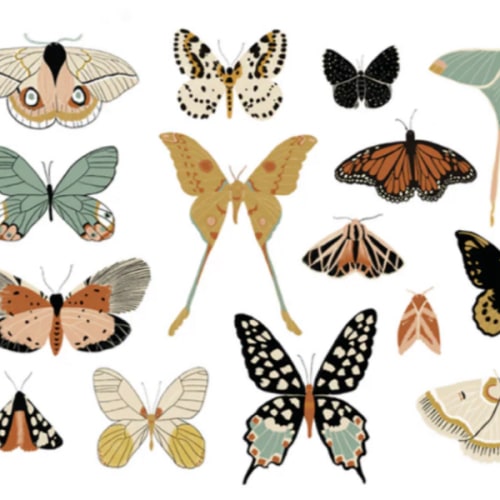 Butterfly Wall Art Room Decor