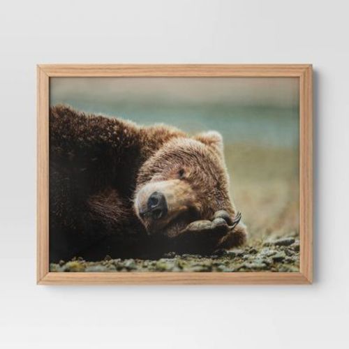 20" X 16" Bear Photography Framed Art Brown - Threshold™: Frame, Animal Wall