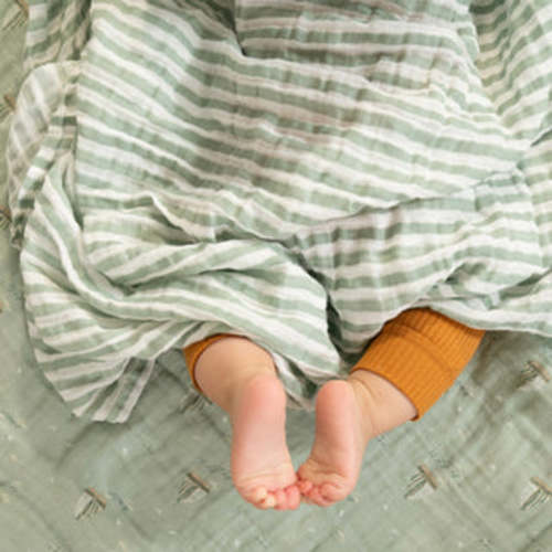 Essentials Cotton Muslin Swaddle 4-Pack in Sage Woodland | aden + anais