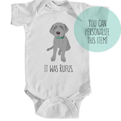 Silver Labrador Puppy Onesie
