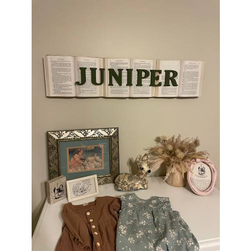 Nursery Name Display Wooden Book Board Baby Name Announcement Storybook Nursery Cottage-core Aesthetic Nursery Wall Art Baby Shower Gift